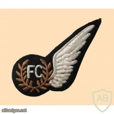 RAF Fighter Controller Brevet Badge img36956