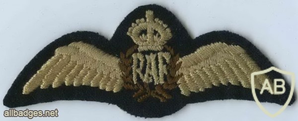 Royal Air Force Pilot's Badge img36964