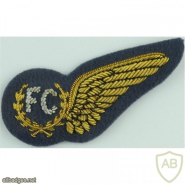 RAF Fighter Controller Brevet Badge img36957