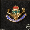Queen's Own Highlanders (Seaforth and Camerons) lapel badge