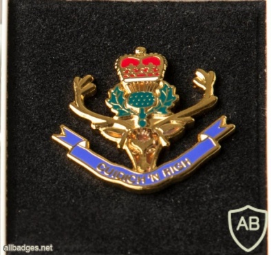 Queen's Own Highlanders (Seaforth and Camerons) lapel badge img36955