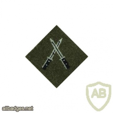 Platoon Sergeants Battle Course [senior Brecon] qualified badge img36983