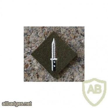 Soldier Class 1 [junior Brecon] Badge img36982