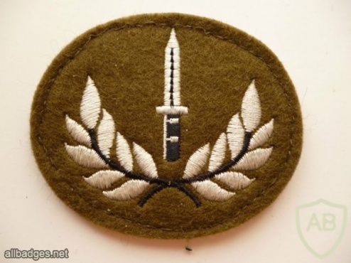 Infantry Soldier Class 1 trade badge, NO 2 Dress Uniform img36989