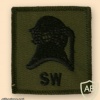 Diver [shallow water] qualification badge img36981