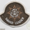 GUARDS DIVISION SQUAD LEADER ARM BADGE img37009