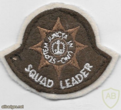 GUARDS DIVISION SQUAD LEADER ARM BADGE img37009