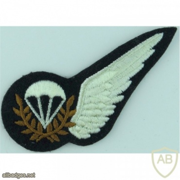 Royal Air Force parachute instructors half-wing badge img37056