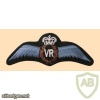 Royal Air Force 'VR' [flying instructor] wings