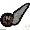 RAF Brevet - N (Navigator) Half-Wing img37051