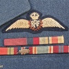 Royal Air Force Pilot's Badge img37048