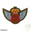 Qualified Air Despatch Instructors qualification badge img37036