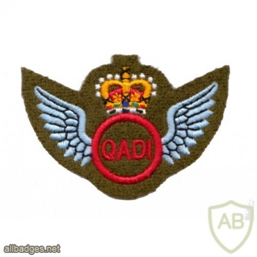 Qualified Air Despatch Instructors qualification badge img37036