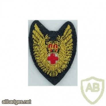 Royal Air Force Flight Nursing Officer Wings img37053