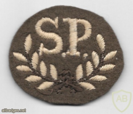 SP SPECIAL PROFICIENCY QUALIFICATION BADGE img37062