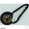 AT (Airborne Technician) Half-Wing img37047