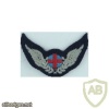 Royal Air Force Medical Technicians Wings badge