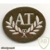 Briish Army skill at arms badge