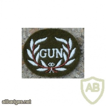 Rarden GUN Qualified arm badge img37044