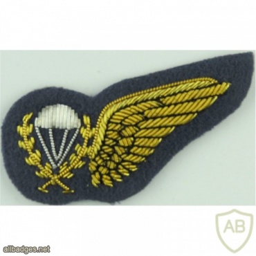 Royal Air Force parachute instructors half-wing badge img37055