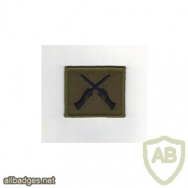 Skill at Arms badge, Subdued img37119