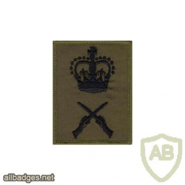 BRITISH ARMY COMBAT TRADE BADGE img37116