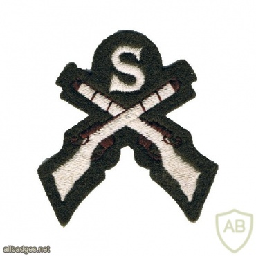 Sniper Qualification arm badge, Colour img37106
