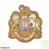 Warrant Officer Class 1 rank img37138