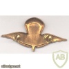 IRAQ Elite Parachute beret badge, bronze, pre-1991 img37146