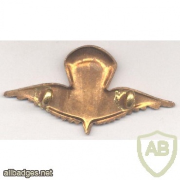 IRAQ Elite Parachute beret badge, bronze, pre-1991 img37146