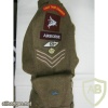 Royal Tank Regiment sleeve badge img37127