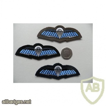 UKSF Special Forces Communicators wings, new type img37110