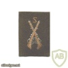 Sniper Qualification arm badge, Colour