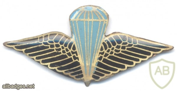 IRAQ Elite Parachute beret badge, blue and black, pre-1991 img37143