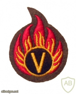 Volunteer [TA] Ammunition Technicians qualification badge, Colour img37128