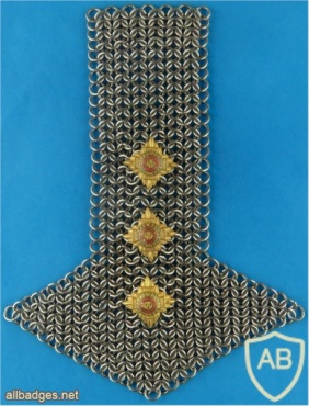 Miscellaneous Cavalry - Yeomanry Shoulder Chain Mail. Captain Rank img37132