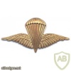 IRAQ Elite Parachute beret badge, bronze, pre-1991 img37145