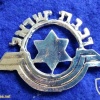 רכבת ישראל (לוגו ישן) img37223