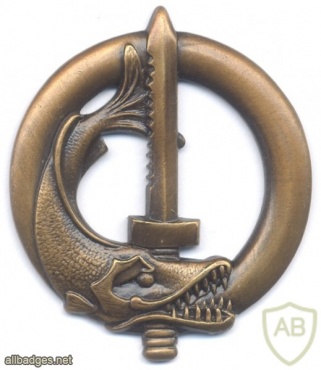 FRANCE Army Underwater Intervention Specialist Diver qualification badge img37428