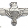 South Africa 44th Parachute Brigade cap badge img37489