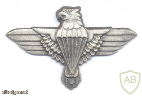 South Africa 44th Parachute Brigade cap badge img37489