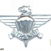 SOUTH AFRICA SADF 3 Parachute Battalion beret badge