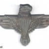South Africa 44th Parachute Brigade cap badge img37490