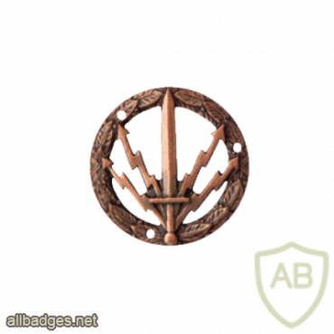 Danish Army signals specialist qualification badge, bronze img37515