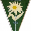 Italian Alpine battalion Val Tagliamento, 308th Company breast badge