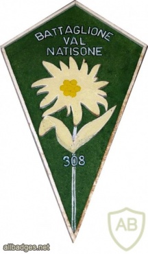 Italian Alpine battalion Val Tagliamento, 308th Company breast badge img37534