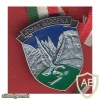 Italian 4th Signal Battalion "Gardena" badge img37590