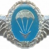 BOPHUTHATSWANA Special Forces parachute wings, Instructor