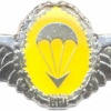 BOPHUTHATSWANA Special Forces parachute wings, Freefall