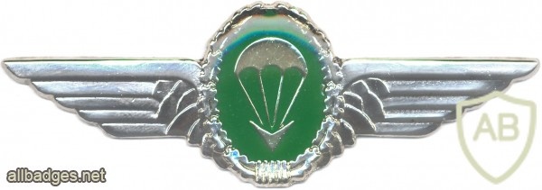 BOPHUTHATSWANA Special Forces parachute wings, Static line img37599